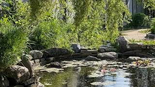 MSU Botanical Garden حديقة النباتات في جامعة ولاية ميشغان Michigan 