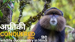 the cunquered forest africa wildlife documentry in hindi