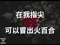 逆插玫瑰 - 盧巧音 Candy Lo（歌詞版）