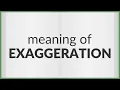 Exaggeration meaning of Exaggeration