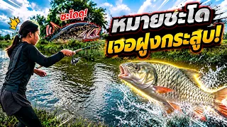 หมายนี้มีชะโด แต่เติลโดนฝูงกระสูบ! | เด็กตกปลา