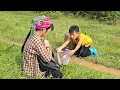 Lagu FULL VIDEO 25 days of setting traps to catch fish, fishing to sell, helping an orphan girl