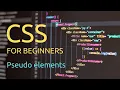 CSS for Absolute Beginners - 19