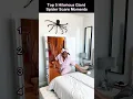 Top 5 Hilarious Giant Spider Scare Moments