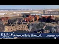 DLMS Direct - Antelope Butte Livestock Strs