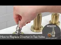 How to Replace a Kitchen Faucet Handle Cartridge - KSRPL5000HC KSRPL5000CC