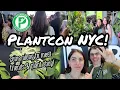 Download Lagu PLANTCON NYC!! 🌿 going over budget, meeting friends, plant shopping \u0026 HAUL!! 🖤