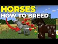 How To Breed Horses in Minecraft