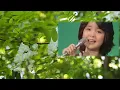 Download Lagu アカシアの夢 Dream of Acacia (1975/1977/1985)　アジアの歌姫 鄧麗君 Teresa Teng テレサ・テン