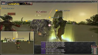 The Nasomi Experience FF11 Cap 75 Server