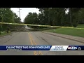 Storms bring down trees knock out power in parts of Louisville southern Indiana