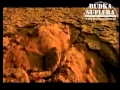 Download Lagu Budka Suflera - Jeden raz (official video) #BudkaSuflera