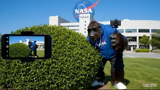 NASA Finally Caught BIGFOOT on Camera!