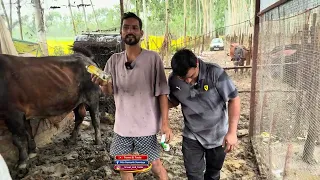 Part-2 Pillu🐶Bhai ka Shelter ❤️