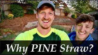 PINE STRAW WHERE and WHY to use it