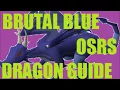 Runescape 2007 Brutal Blue Dragon Slayer Guide