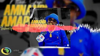 ntosh gazi naledi feat dj tarico layla melodious u0026 sam kam official audio 