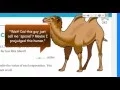Go Math 5th Grade Chapter 5 Review Part 1