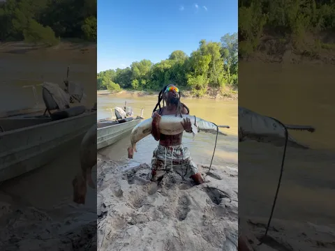 Catching alligator gar fish 🎣