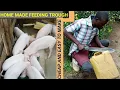 How To Make A feeding and Drinking Trough For Pigs