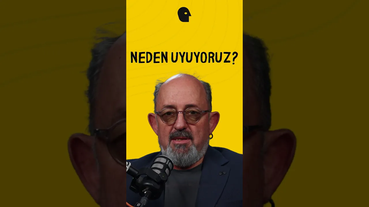Neden uyuyoruz?