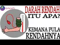 Download Lagu WAT IS LAAG BLOED? WAAR IS LAAG?