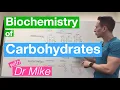 Carbohydrates Biochemistry