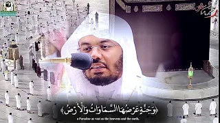  و ال  ذ ين  إ ذ ا ف ع ل وا ف اح ش ة        ياسر الدوسري  دندنها
