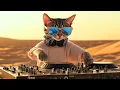 Download Lagu Desert Mirage 🐪 | Melodic House \u0026 Organic Vibes Live Set from the Sahara Dunes 🇲🇦🌅