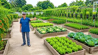 My Entire Vegetable Garden Grows Right on Top of a Concrete Yard