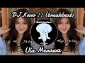Download Lagu DJ ULA MERAWA - BREAKBEAT KARO REMIX TERBARU 2024