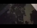 Strong winds make trees sway during severe weather in Conroe