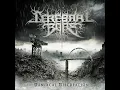 CEREBRAL BORE  -  Maniacal Miscreation - Full Album