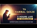 Download Lagu YA HABIBAL QOLBI | 3H LIVE AI ISLAMIC SHOLAWAT MUSIC INSPIRED BY SABYAN, AI KHODIJAH \u0026 MOHAMED TAREK