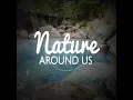 Bird Sounds - Outside Broadcast Recordings