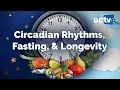 Lagu Circadian Rhythm and Intermittent Fasting for Healthy Lifespan