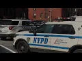 Thousands of NYPD Misconduct Files are Made Available to Public El Minuto English