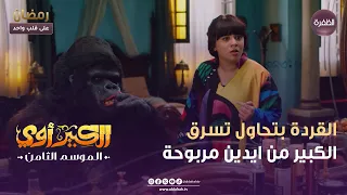 الكبير أوي 8 القردة بتحاول تسرق الكبير من ايدين مربوحة الحلقة 23 