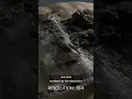 Fluid Simulation Sea Shore FLIP