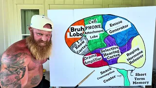 The Anatomy of a Middle Schooler’s Brain