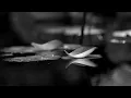 Hernan Cattaneo & Soundexile - Lotus (Original Mix)