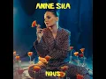 Nous - Anne Sila