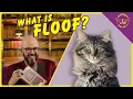 What is FLOOF Cat Daddy Dictionary