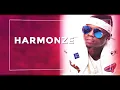 Harmonize - Kwangwaru #TwawezaLive Mombasa