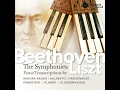 Symphony No. 7 in A Major, Op. 92: II. Allegretto