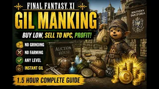 The Ultimate HorizonXI Gil Guide Vendor Flipping the Auction House Any Level
