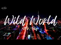 Mr. Big - Wild World (Lyrics)