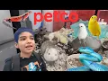 SURPRISING ANIMALS YOU CAN OWN FROM PETCO WHAT PET SHOULD I GET