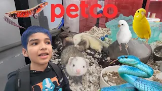 SURPRISING ANIMALS YOU CAN OWN FROM PETCO WHAT PET SHOULD I GET