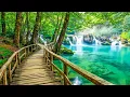 Download Lagu Nomierinoša mūzika nerviem 🌿 dziedinoša mūzika sirdij un asinsvadiem, relaksācija, mūzika dvēselei